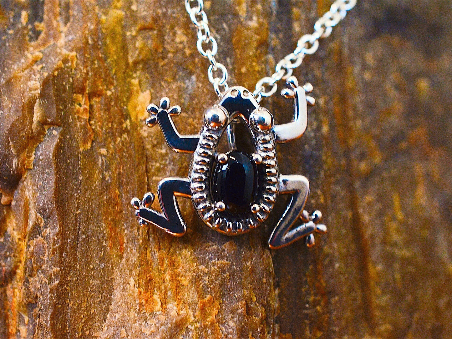 Oval Frog Pendant with Black Onyx in Sterling Silver – Lakota Legacy Line