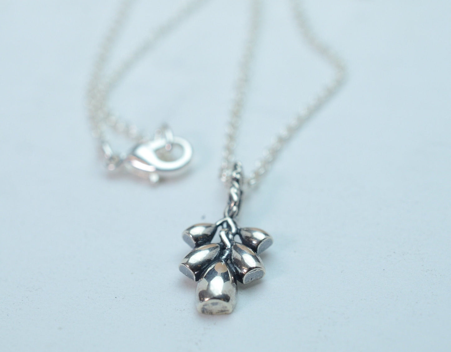 Timpsila "Prairie Turnip" Pendant in Sterling Silver – Lakota Legacy Line